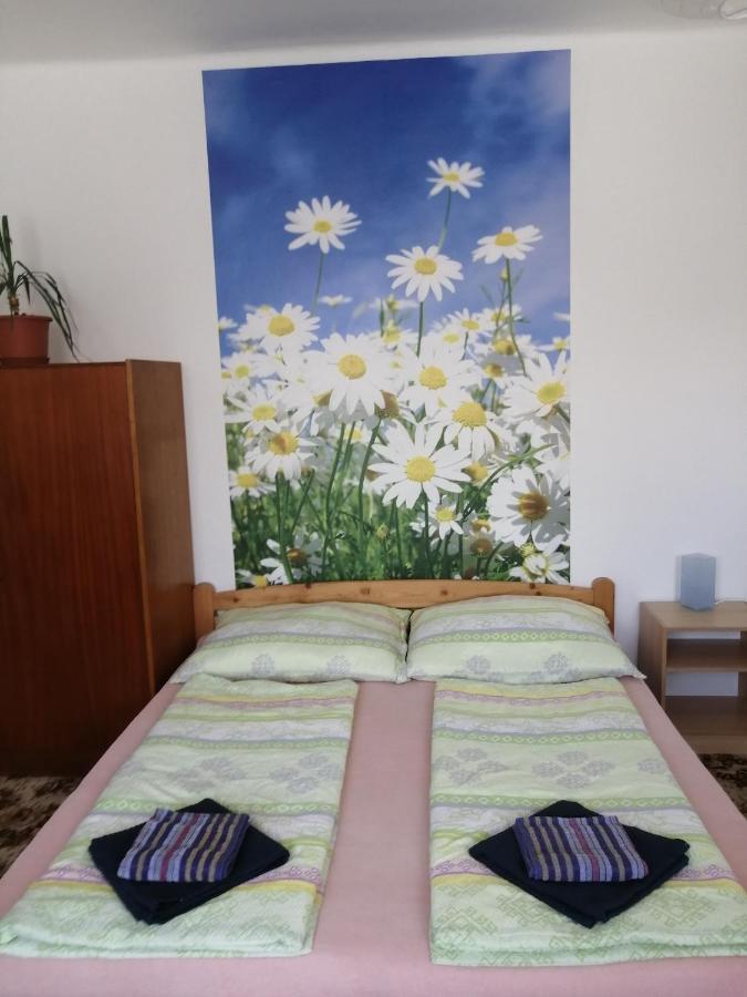 U Ladi Apartment Bulhary Bagian luar foto
